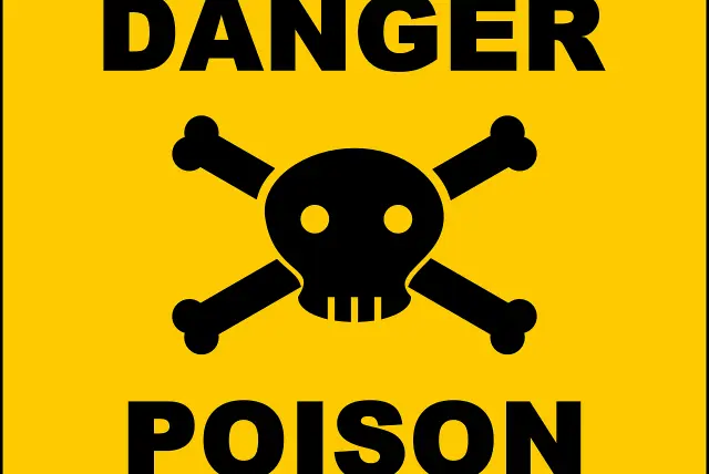 Symptoms of Poisoning