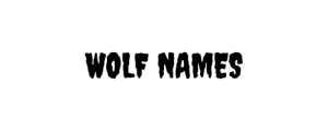 Logo of Wolfnames.org